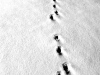 P1010588
