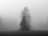 P1390283