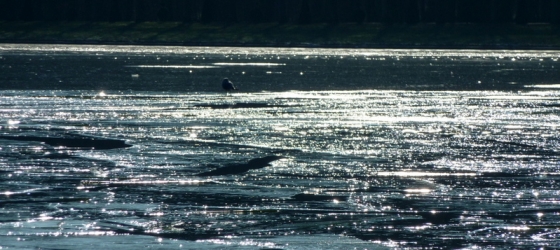 2010fevrier-007-001.jpg-nggid018-ngg0dyn-0x250x100-00f0w011c010r110f110r010t010