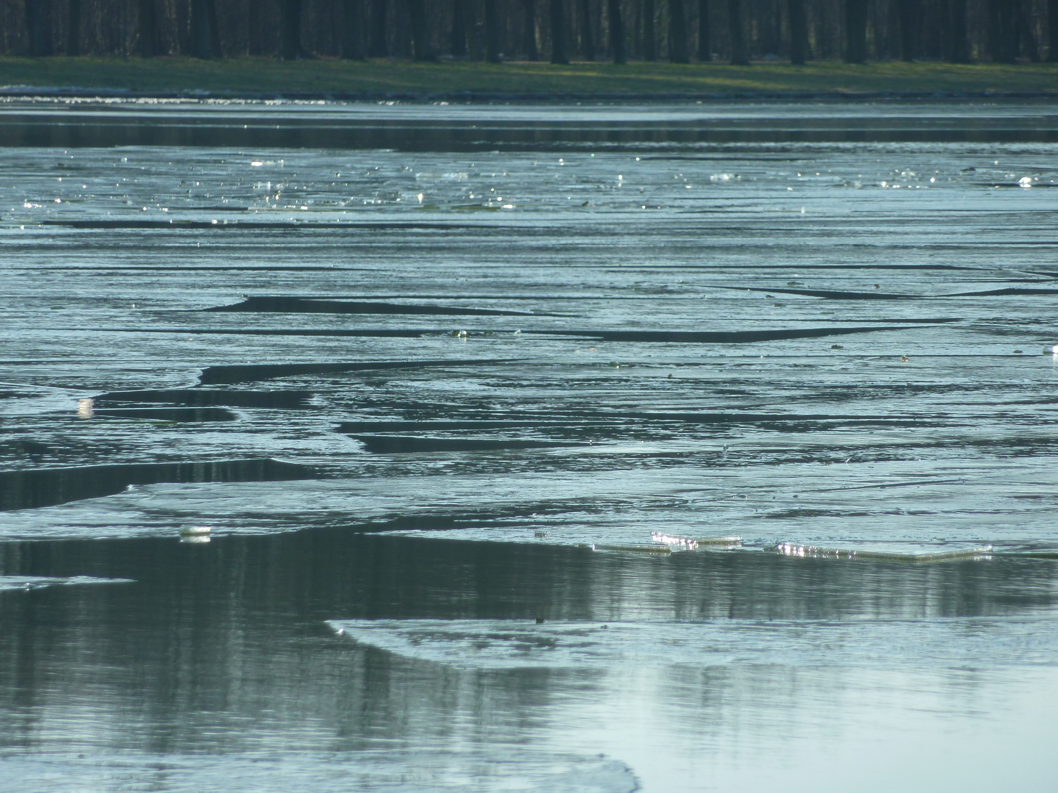 2010fevrier-006